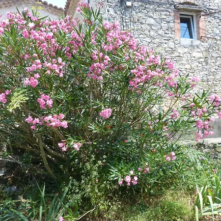 Oda ve Kahvaltı Mas Moise 2*