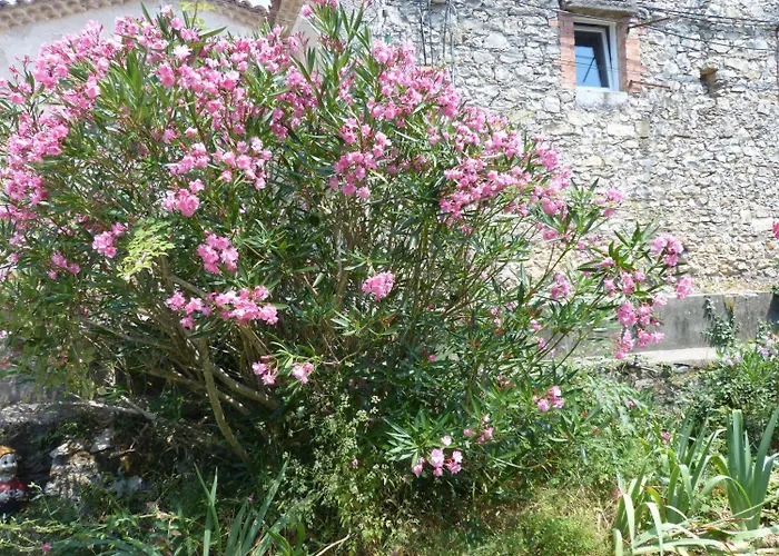 Couette-café Mas Moise 2*